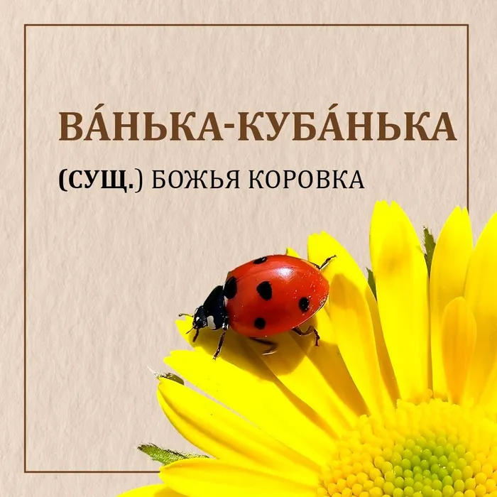 ZThuPgE0-1IyNFhYxBLieyh-WsVFeRC7chhP0Aa40ZZHaI-bocSL5S9ytcdLFCv6iHbHesh0qPR2W1bryn4WAEc8