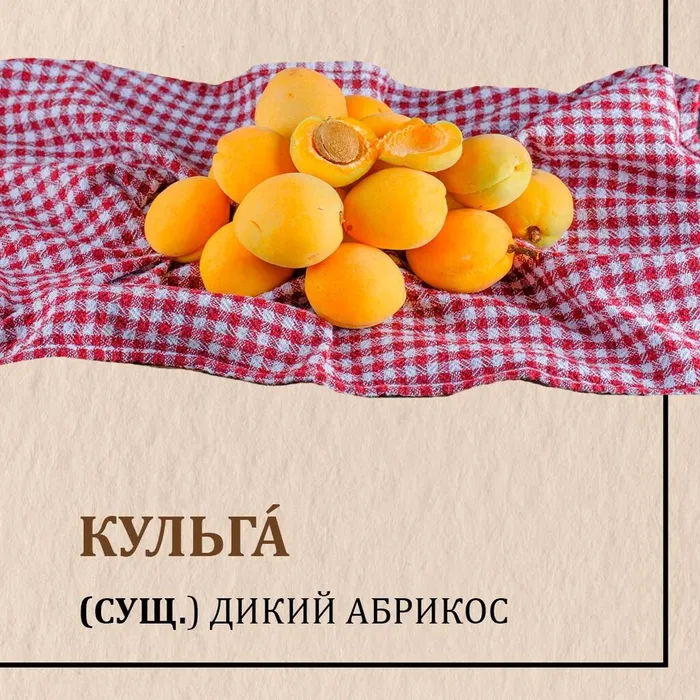 nkanVTWfZnb4JfcOdrkzTQcNzSAjQQnQpBvReqqmgSlEDZHK7KSLAWYqeppTCMB1QsZJJCcdDH0Pl0HpDuxD0bSz