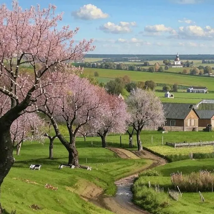 Y2UlnE3_9Lff2jaJoSLDHH0c848WRqcHJE1u4iReAz31w77V_kQRz0O41KF4wp83qxkJWS6z3nHUkw7IovVjxXei