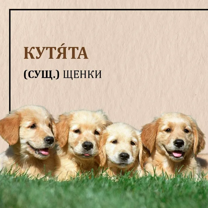 mmZwHHnwjeiGGCecgTOYNq8lGh2v_E7D0FOp0pkF5EP6wv4e2aGPM3d82O7Lrl0b1igKsTX9Xq3qn7zGZjR3LKjw