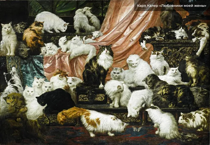 PaV8mRL_KBe-0Jev9XvF-GahFSlqyuOK5NNNCl1Fa_kAS5aGb5cAWKmE9KCCeql5UfUW367VHyX9qd8Txj7pkCh6