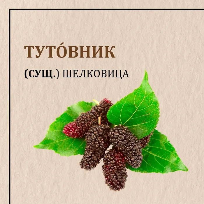 dEs1CCmKJilO_1rRmAl1zVq6b98C86UoDsOtZuHgL_C4A7fRGhT0x7zJhH5FZZr27QocSEMOOYOfSwkf2TLBjdKo