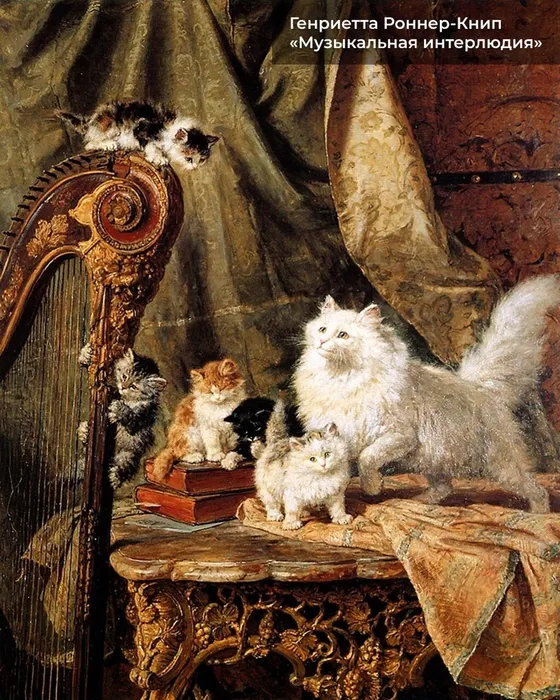 Ap-l-6Zbzxfdzh7uszbj7lt6uq1Emg7Zx9Z0Z8JWTd2ornh1fUxUYfzABKKjdjscmqLtVN05XYRxFCF3IPG_S7gq