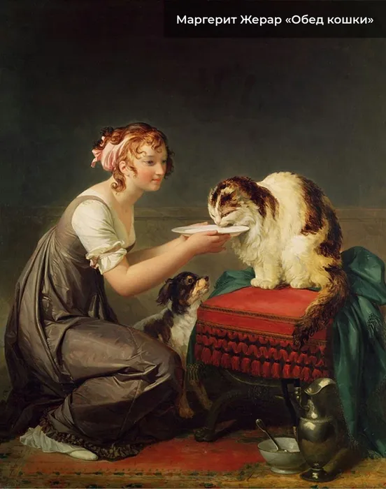 8JA7bsMSfwQR2Vr9FGDTaFABPL9qNnrci_EnpRwKIeFZLUur1fZySSDopz_sLsULC6TBg6L82LksnhXPny7He97k